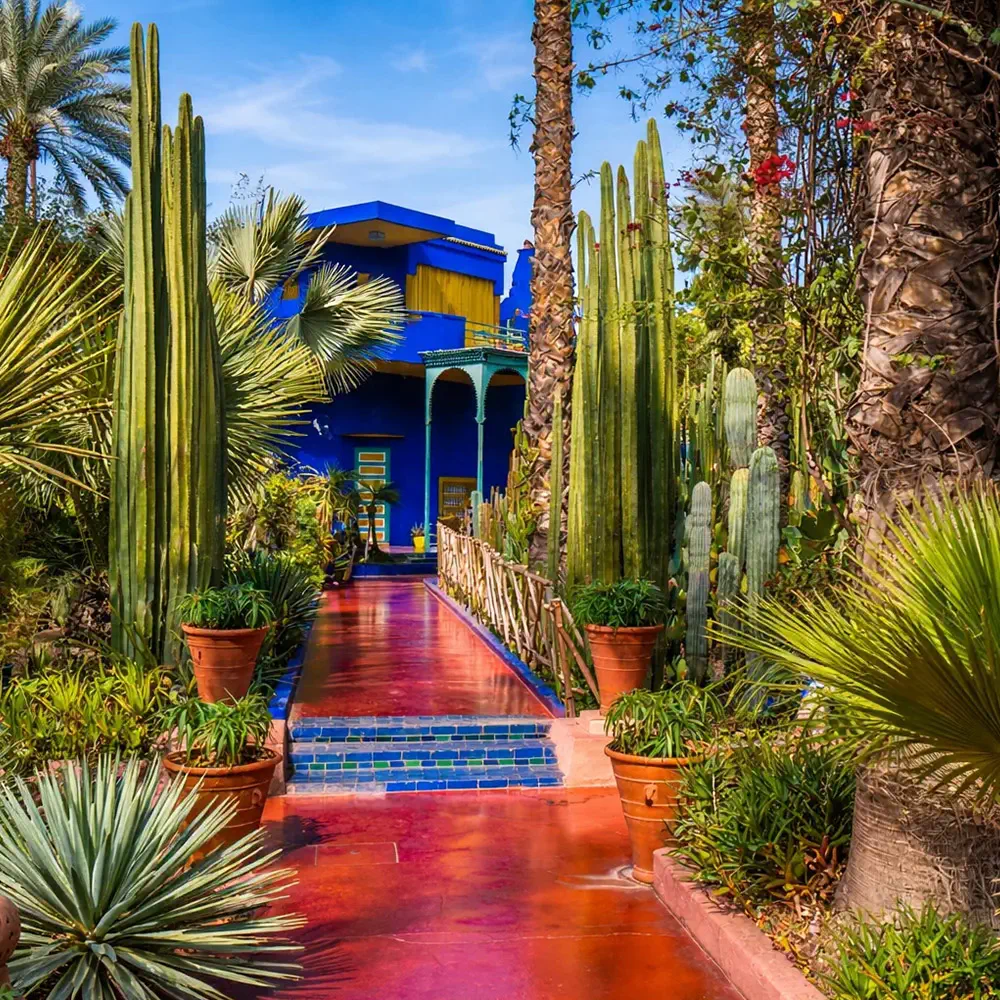 Villa Palmeraie Marrakech